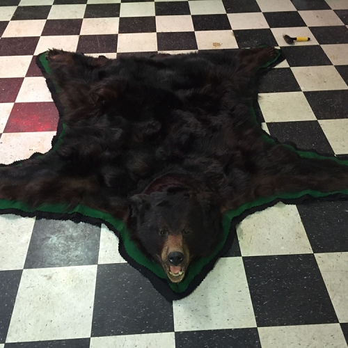 黑熊皮毯